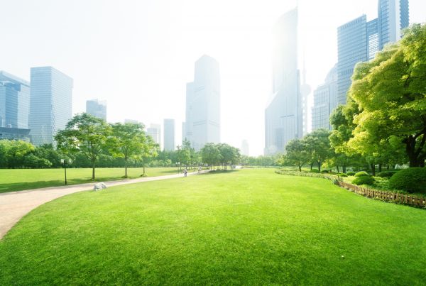 Commercial Landscape Maintenance in Camarillo