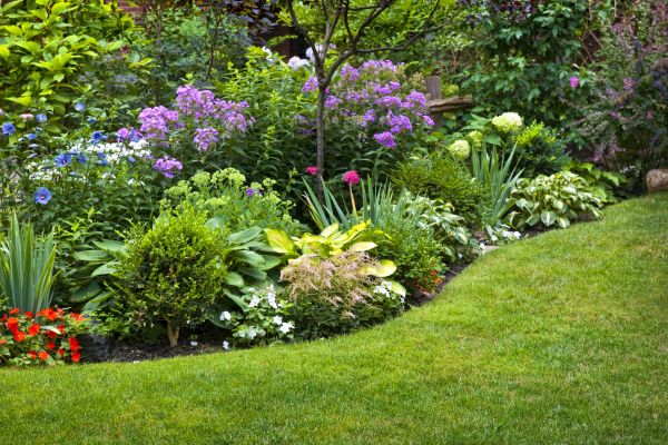 Flower Bed Service in Camarillo