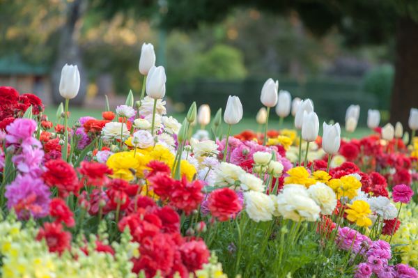Gardening Service in Camarillo