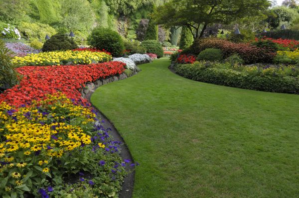 Landscaping Maintenance in Camarillo