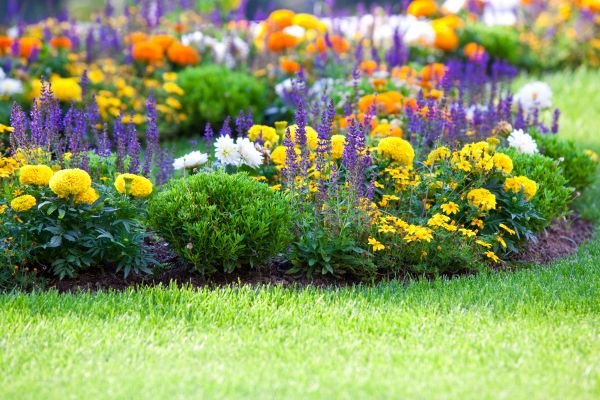 Garden Installation
