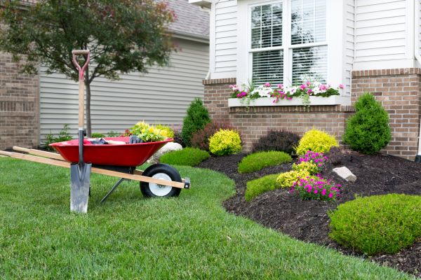 Landscape Maintenance Service in Camarillo