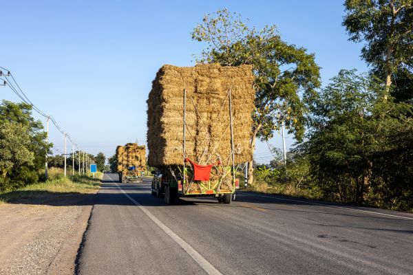 Pine Straw Delivery in Camarillo
