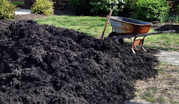 Black Mulch Delivery in Camarillo