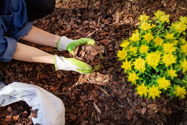 Garden Mulching in Camarillo