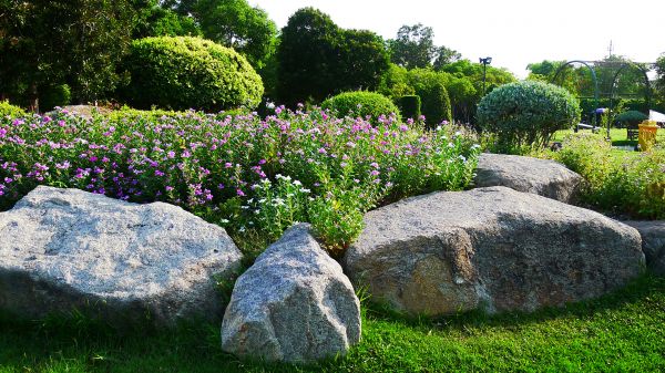 Boulder Landscaping in Camarillo