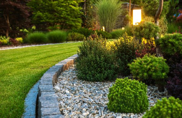 Home Landscaping in Camarillo