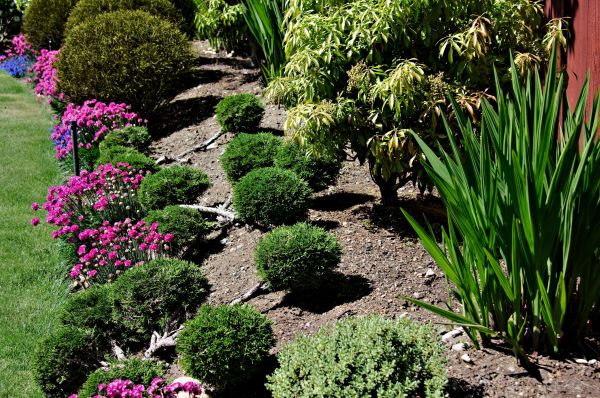 Residential Gardening in Camarillo