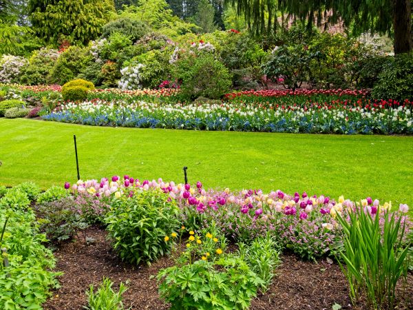 Residential Landscape Design in Camarillo