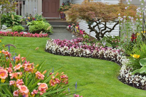 Perennial Landscaping in Camarillo