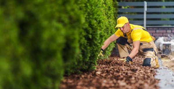 Cypress Mulch Installation in Camarillo