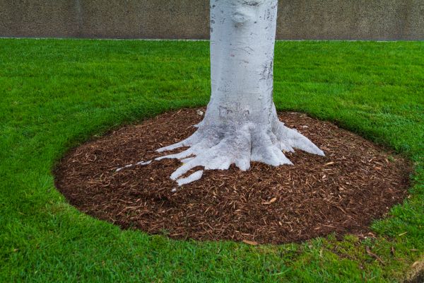 Brown Mulch Installation in Camarillo