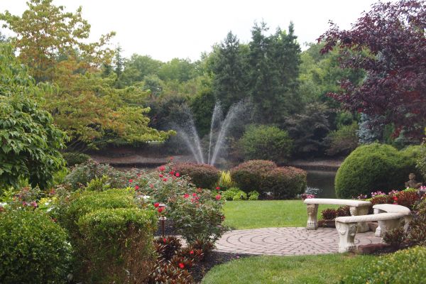 Courtyard Design Service in Camarillo