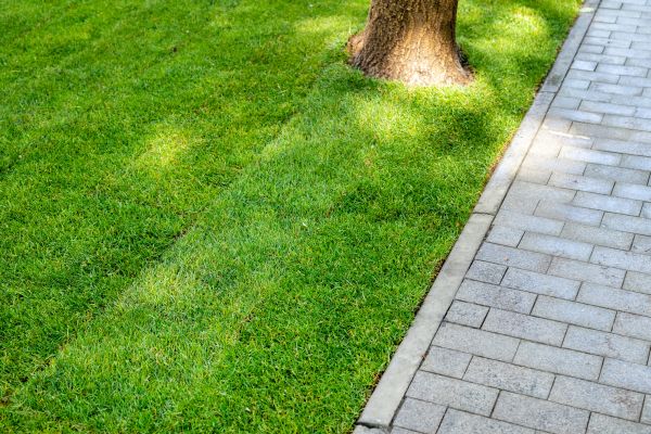 Border Stone Installation in Camarillo
