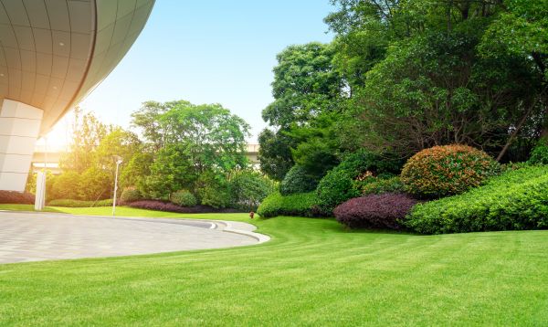 Business Landscape Design in Camarillo