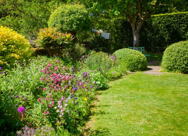 Yard Landscaping Service in Camarillo