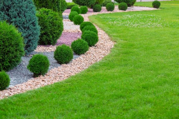 Edging Stones Installation in Camarillo