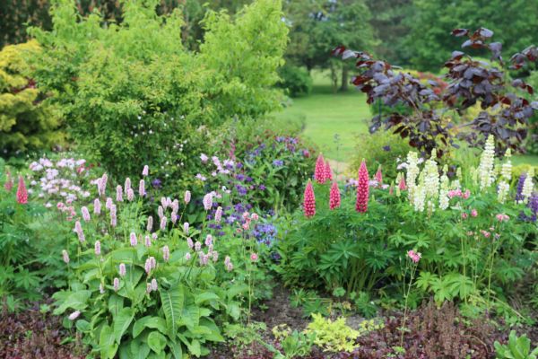 Flower Bed Planting in Camarillo