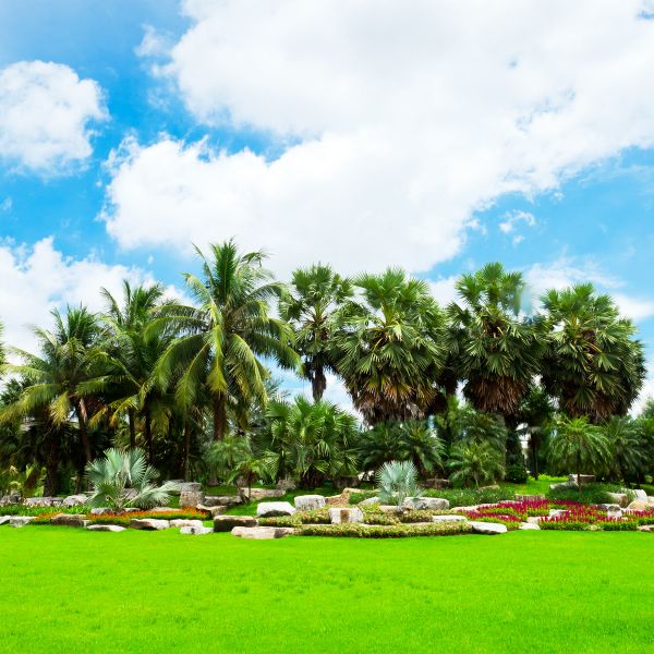 Tropical Landscaping in Camarillo