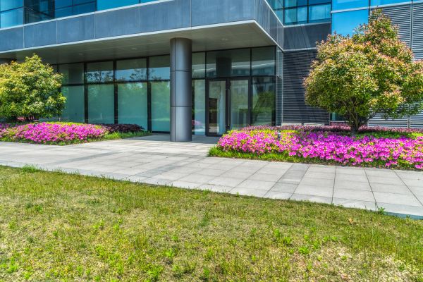 Commercial Gardening in Camarillo