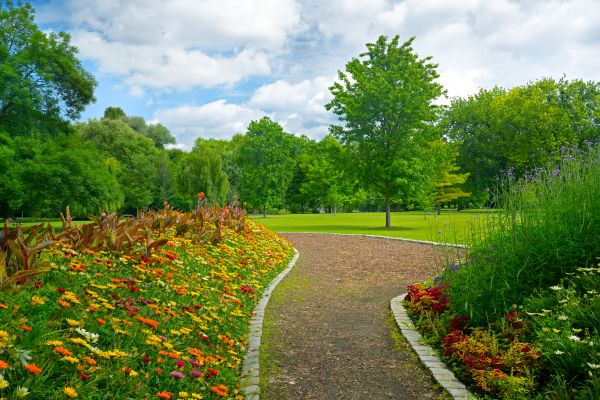 Park Landscaping in Camarillo
