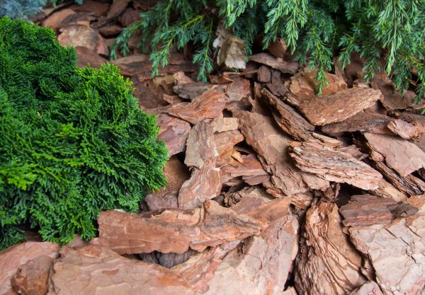 Pine Bark Installation in Camarillo