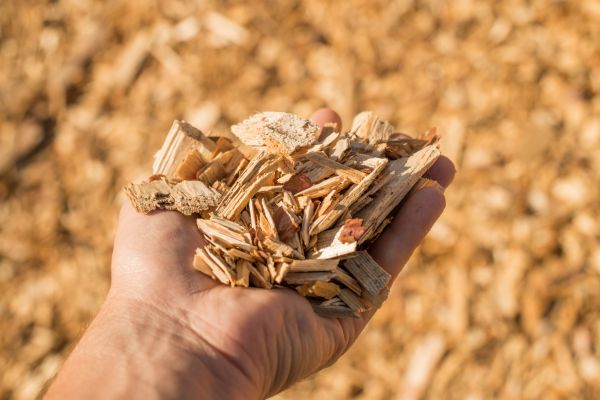 Wood Chips Spreading in Camarillo