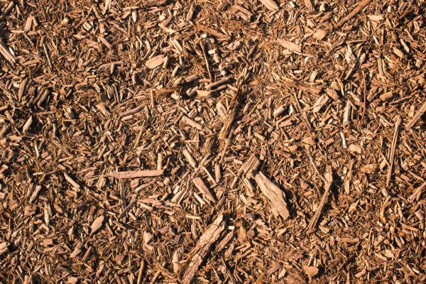 Wood Chips Removal in Camarillo