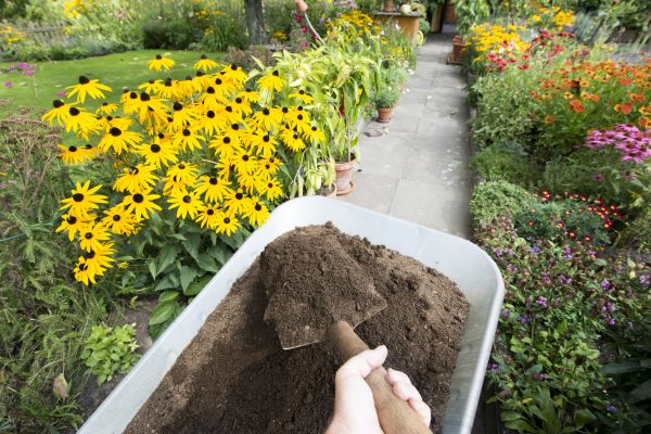 Topsoil Replacement in Camarillo
