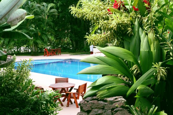 Pool Area Landscaping in Camarillo