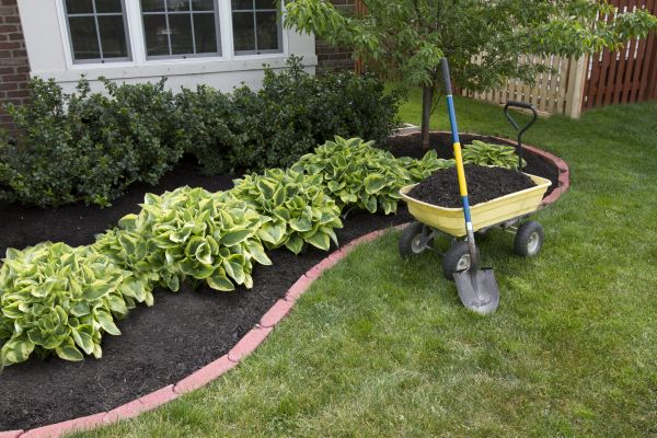 Landscape Mulching in Camarillo