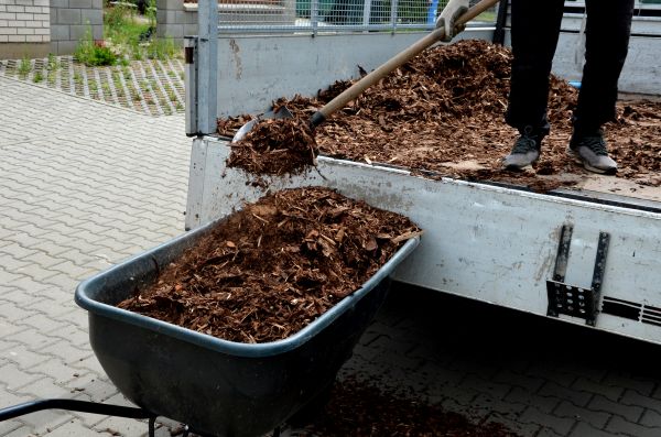Cedar Mulch Delivery in Camarillo