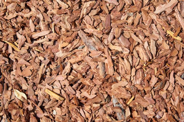 Pine Mulch Delivery in Camarillo