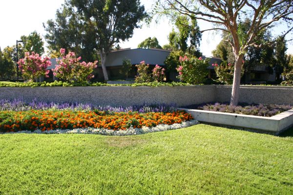 Commercial Landscape Service in Camarillo