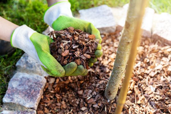 Tree Bark Delivery in Camarillo