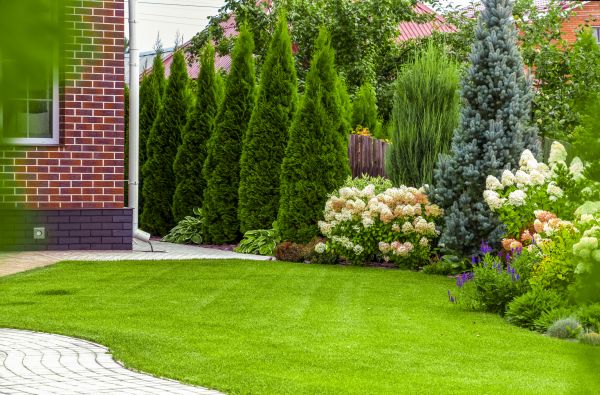 Spring Landscaping in Camarillo