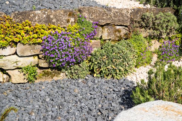 Landscaping Rocks Installation in Camarillo