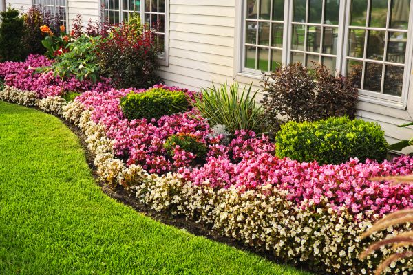 Garden Landscape Design in Camarillo