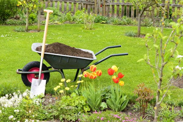 Spring Yard Renovation in Camarillo
