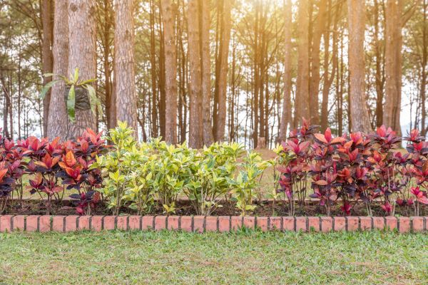 Small Garden Landscaping in Camarillo