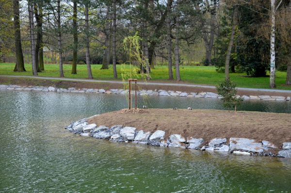 Pond Landscaping Service in Camarillo