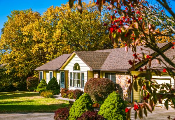 Ranch Landscaping in Camarillo