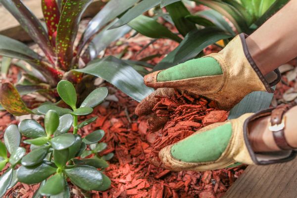 Residential Mulching in Camarillo