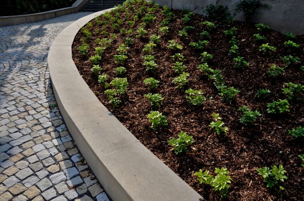 Commercial Mulching in Camarillo